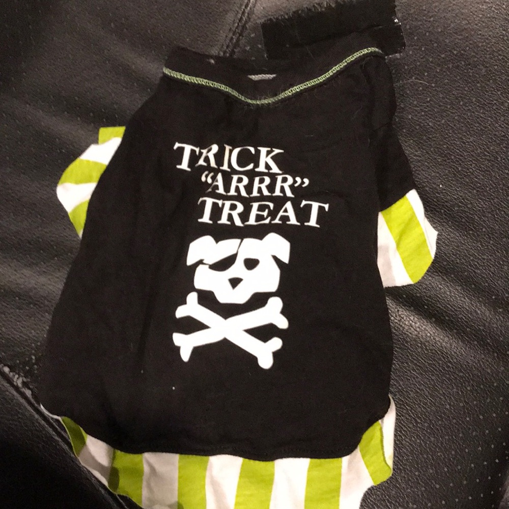 Halloween pet costume and do-rag